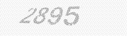 Visual security code — type the characters shown in the image
